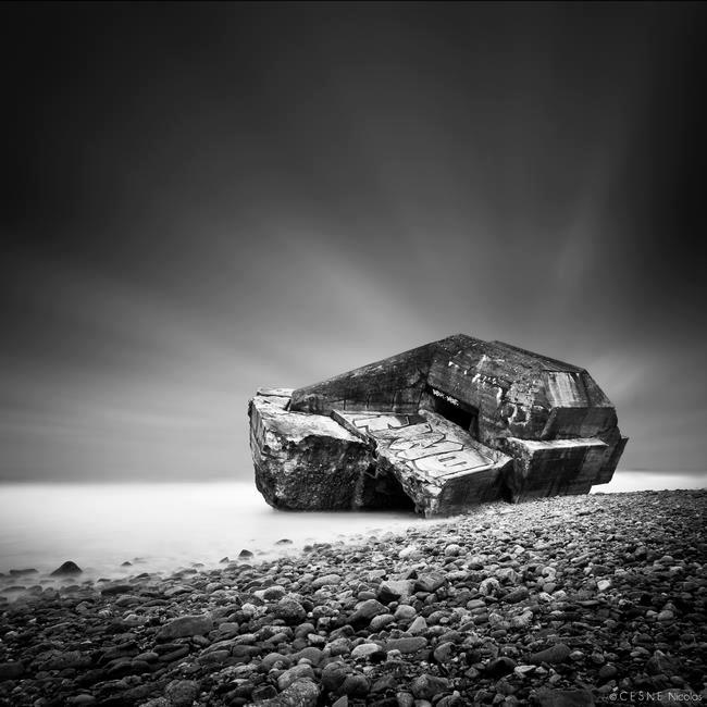 Nicolas Cesne © 2015